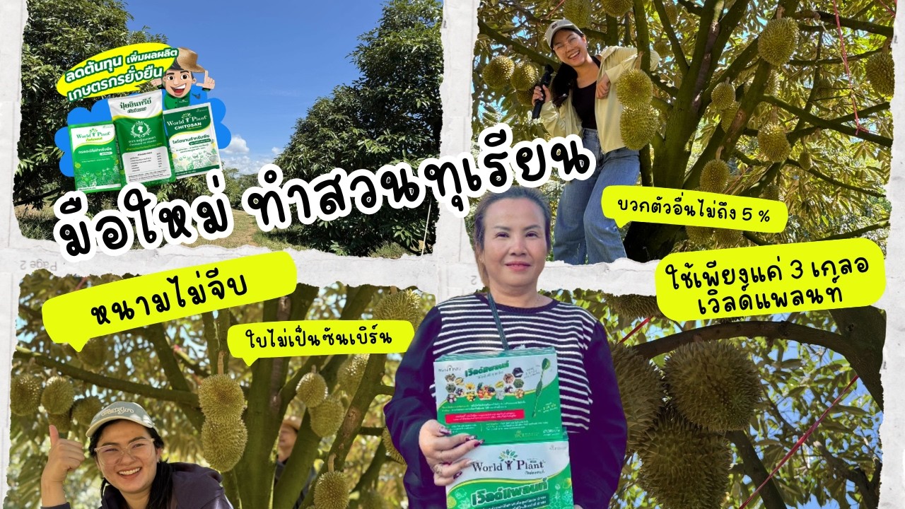 เรียนอายุ 5 ปี ลูกทรงสวย ไม่มีหนามจีบ! เพราะใช้ “สามเกลอเวิลด์แพลนท์”