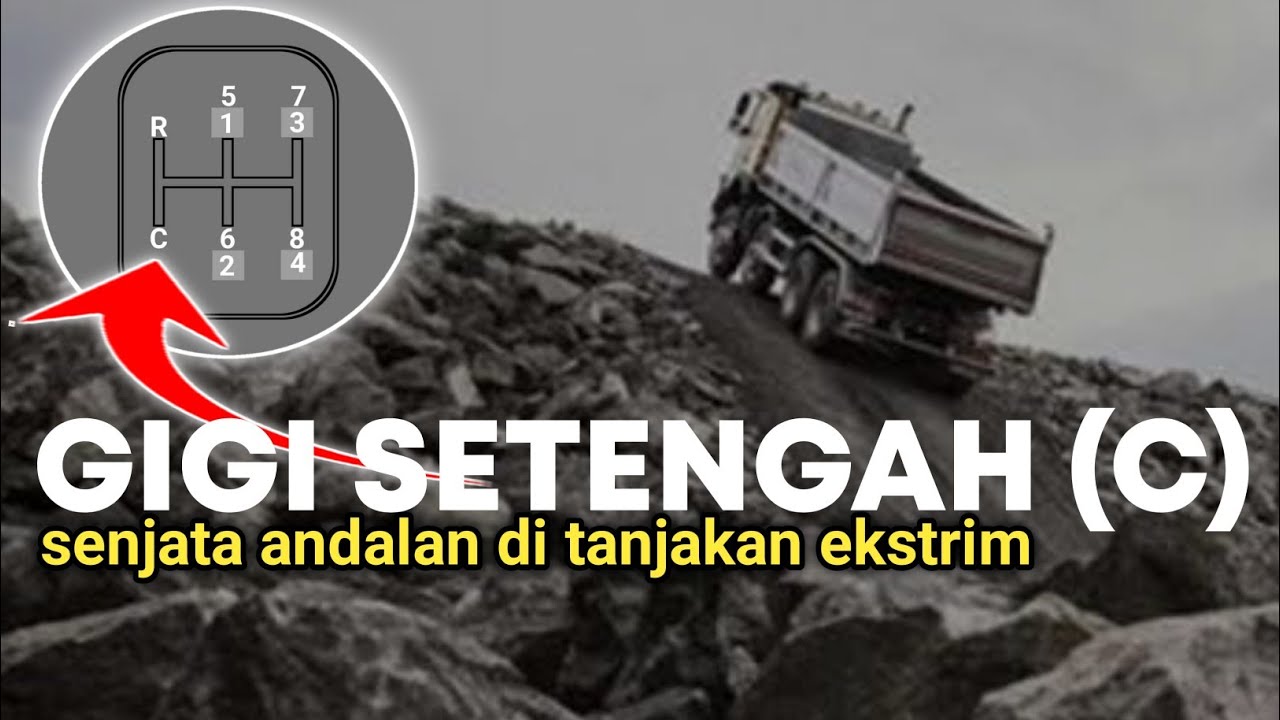 Fungsi Gigi C Dan Cara Penggunaan