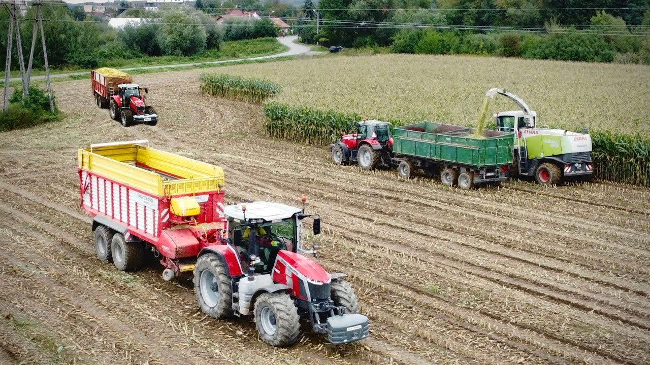 Kukurydza na Kiszonkę 2025🔥72 ha w kawałku !  Claas Jaguar 870, odwóź na 5 Traktorów ! ㋡ 