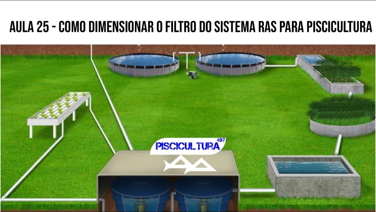 PISCICULTURA 497: AULA 25   COMO DIMENSIONAR O FILTRO DO SISTEMA RAS PARA PISCICULTURA