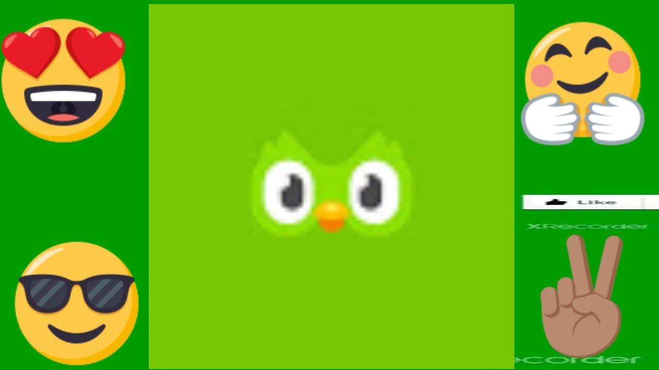 Duolingo French-English learning journeys explained from check point 1 to check point 5