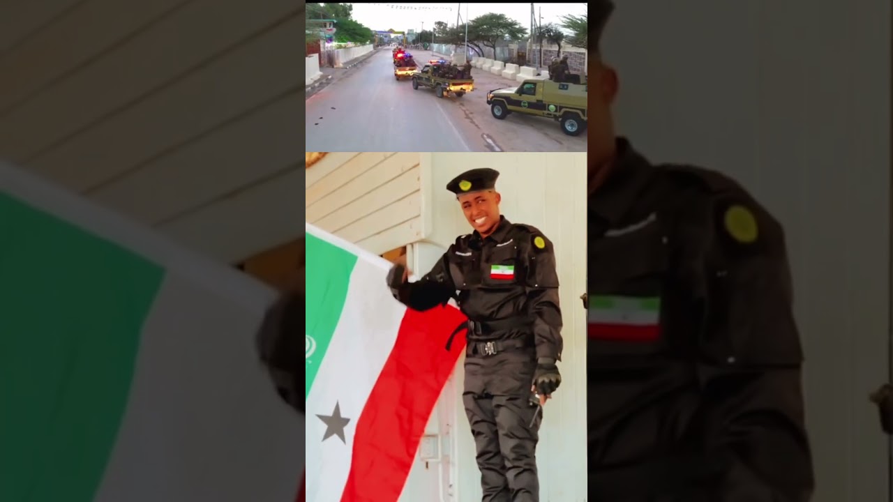 Coordinated Somaliland Military