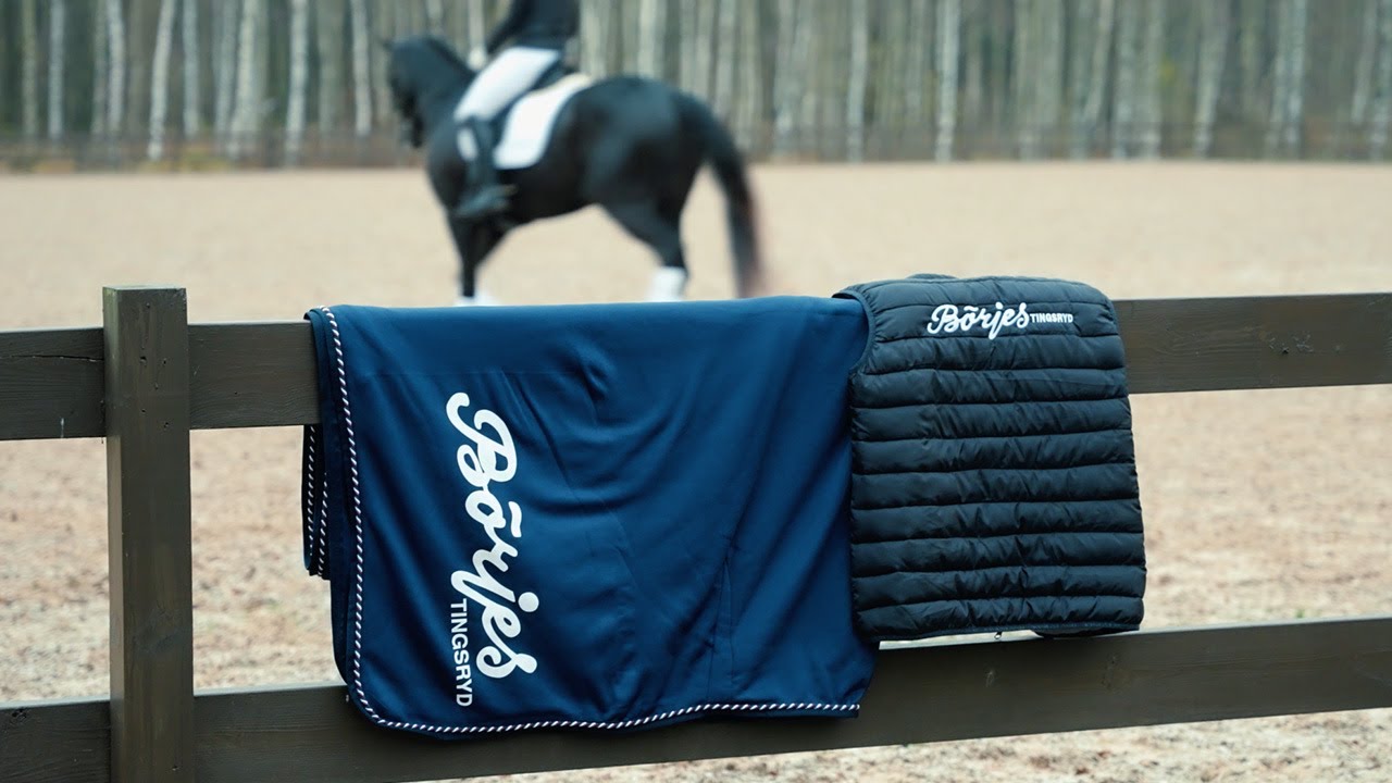 B&ouml;rjes H&auml;stsport Commercial 2020/2021