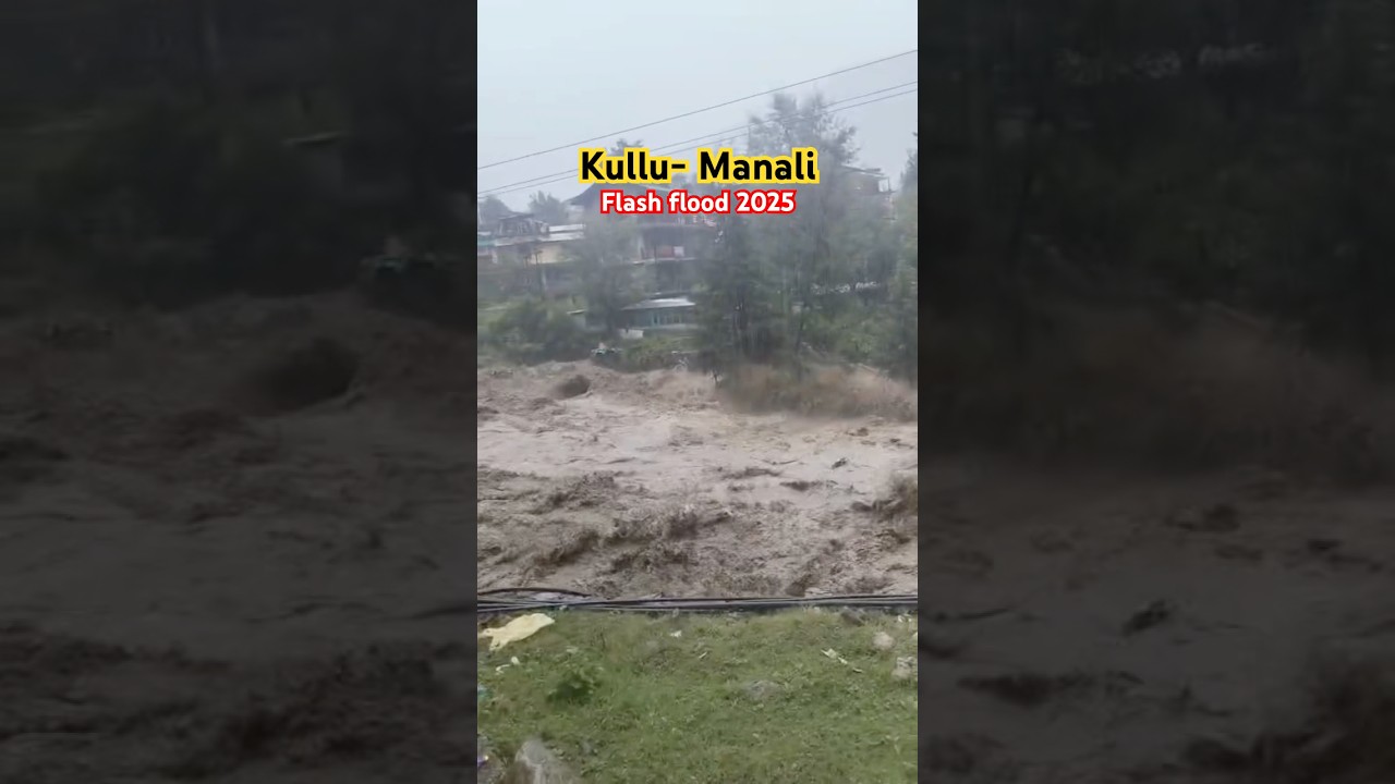 KULLU-MANALI FLASH FLOOD 2025 😱😱. #flood #4k #manali #updates #alert #viral #cloudburst #rainfall