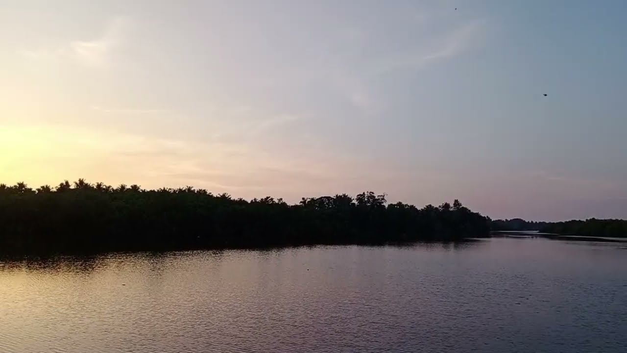 Nature lover's heart touching natural view of the Nature 😍💚🌴🏞 