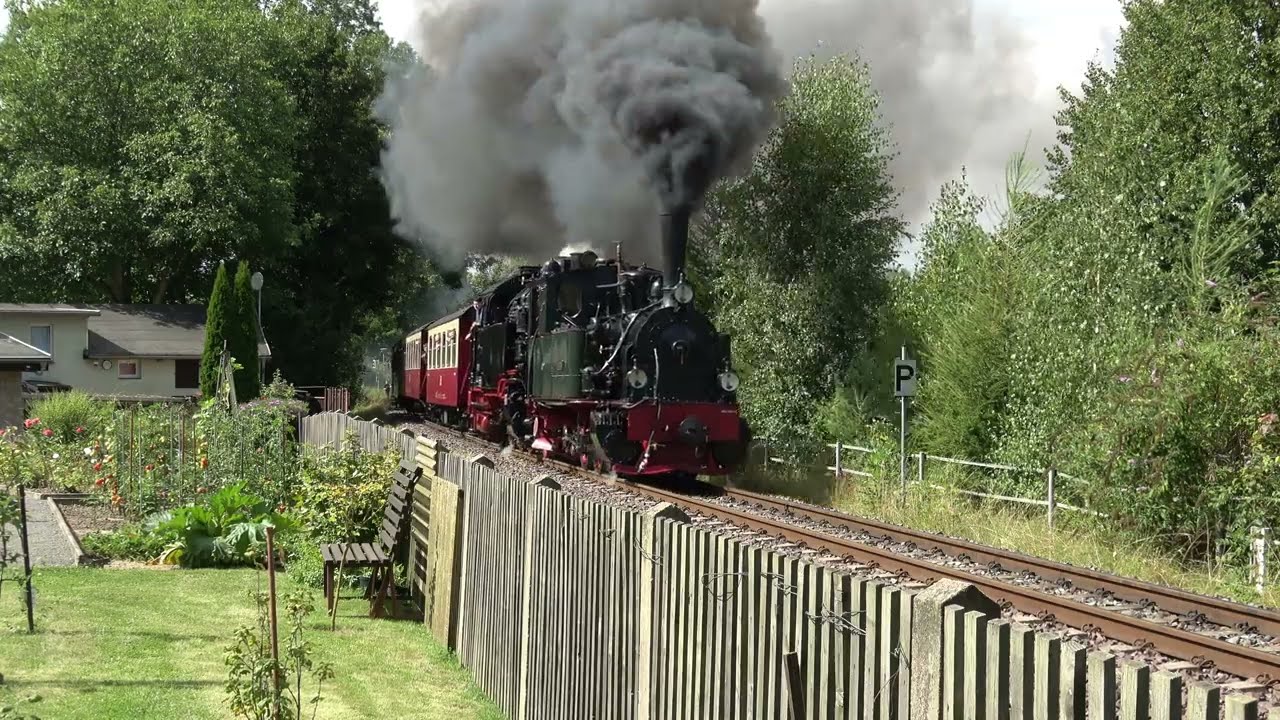 Dampflok Hoya zu Gast auf der Selketalbahn / Teil 1 / 17.08.2024 - Nachmittag