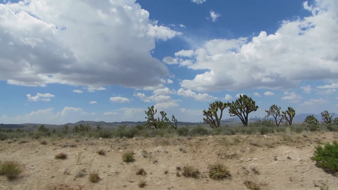 Andi Pilhar - All Is Not Lost (official)