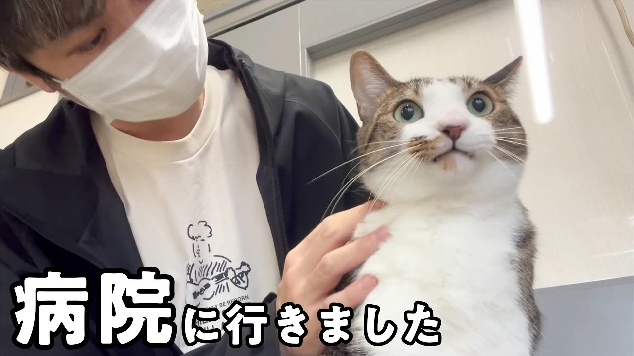 ルノの首に謎のデキモノができてたので病院に連れていきました
