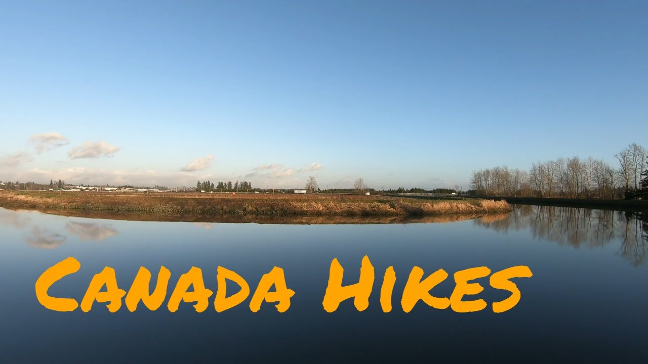 Serpentine Fen/Wetland Nature Walk with chill music
