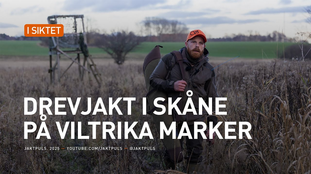 JAKTPULS - Drevjakt i sk&aring;ne p&aring; viltrika marker