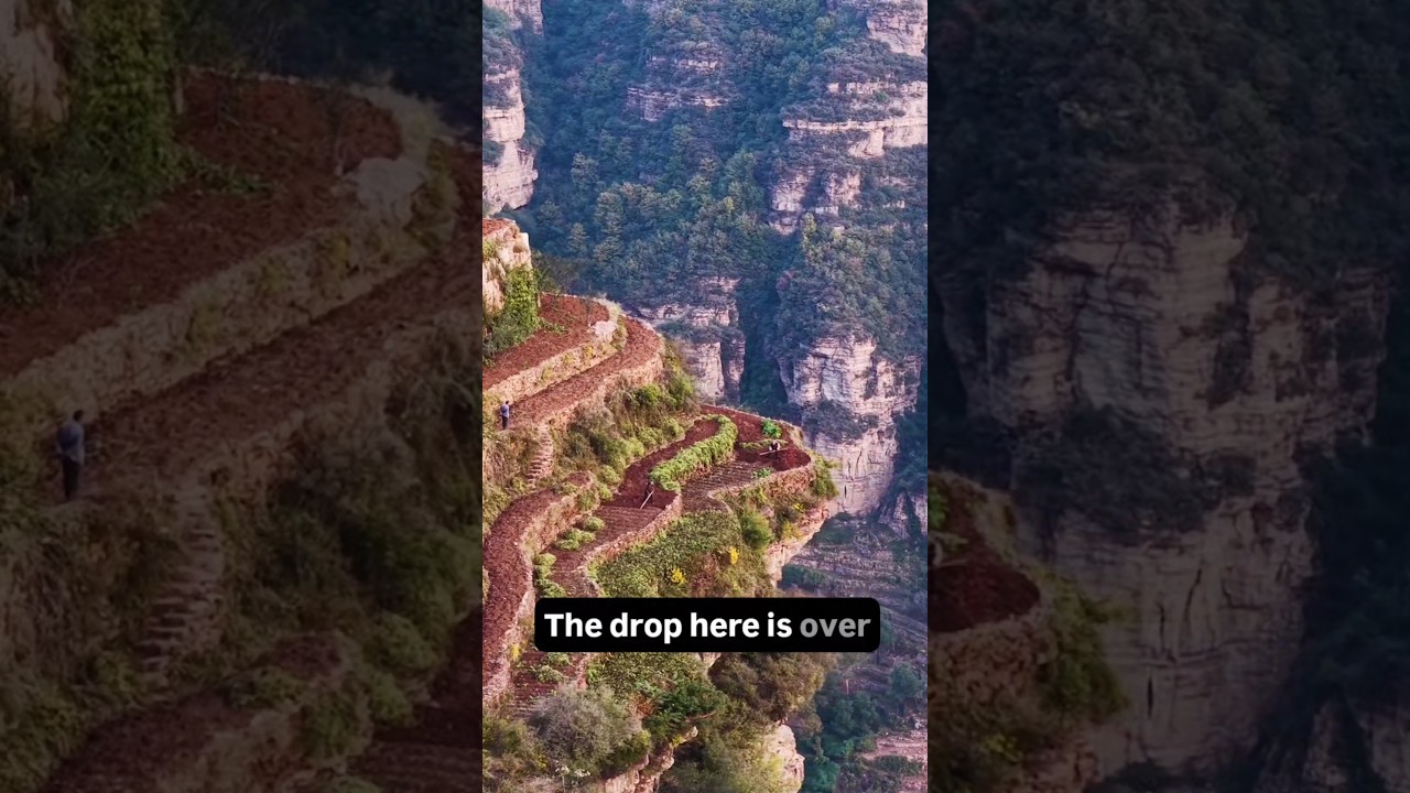Farming on the Edge of a 500m Cliff 😳Hashtags:#ExtremeFarming #CliffLife #Unbelievable