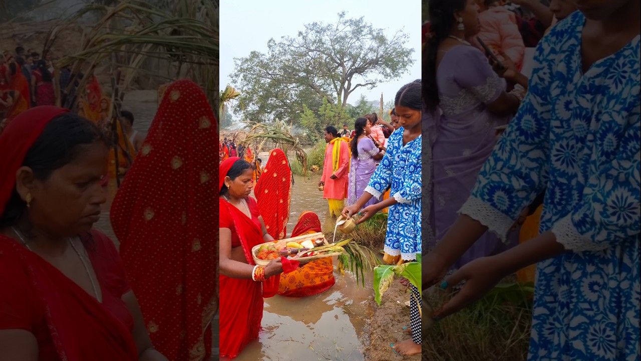 Chhath Pooja #shorts