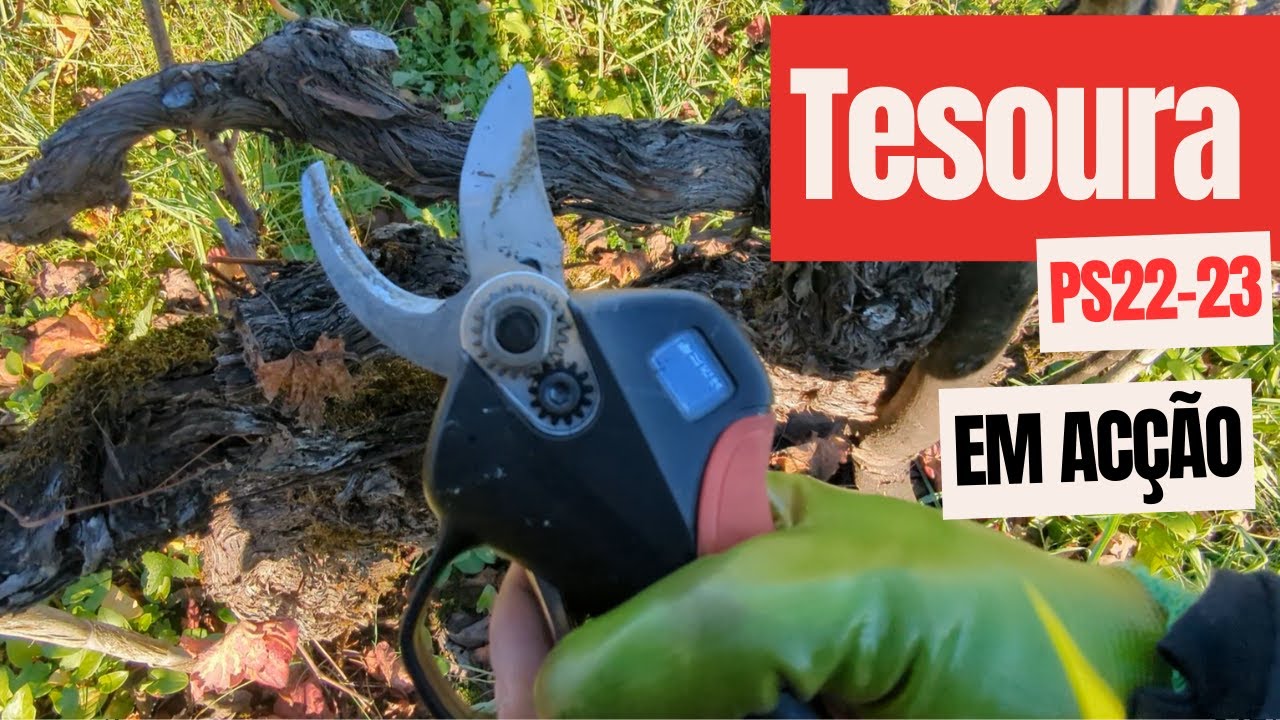 Tesoura  Blue Bird PS22-23 In Action