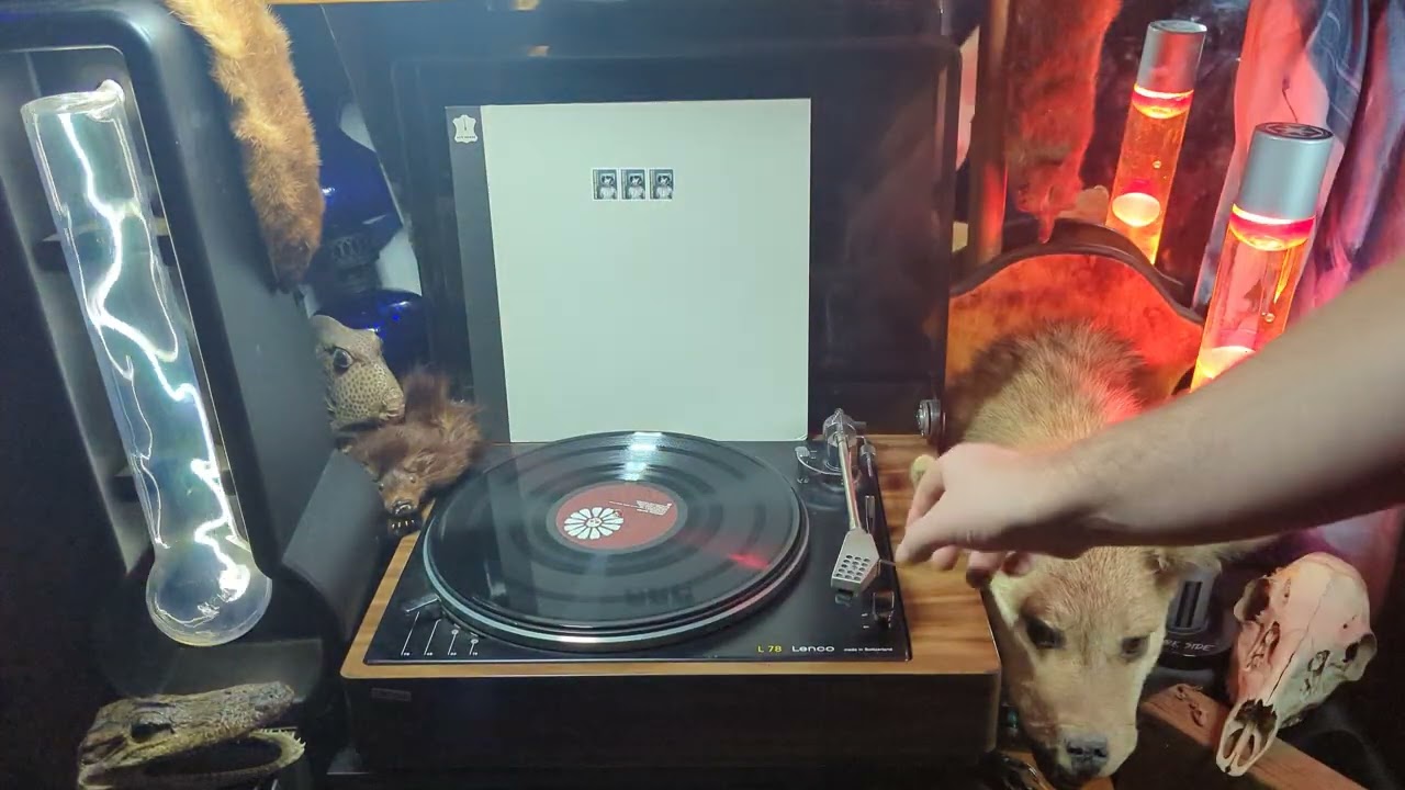 Venetian Snares - Find Candace, Full Vinyl rip
