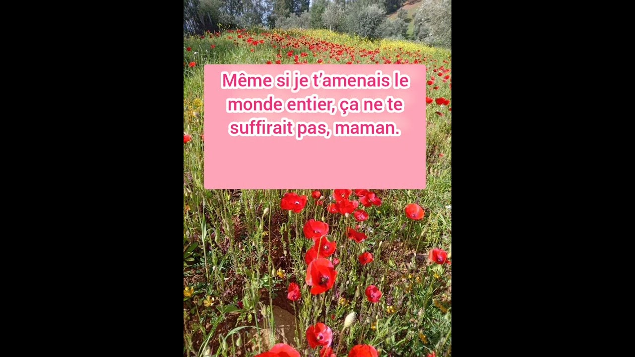 l'amour de la mère /حب الأم