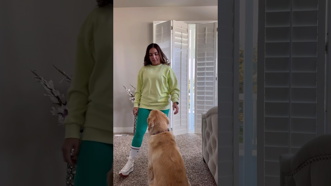 Get ready to go on a dog walk with me #shortsfeed #dog #grwm