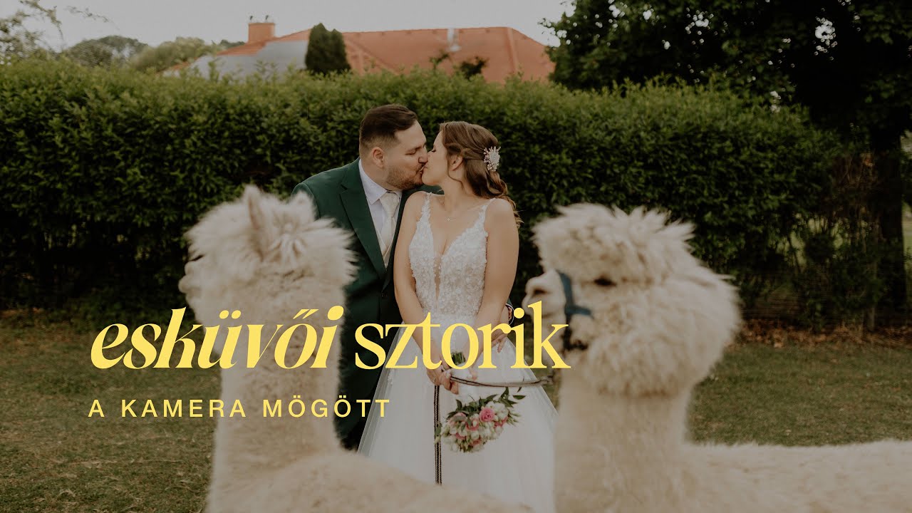 Egy esküvő, két igen, négy alpaka | Esküvői sztorik a kamera mögött