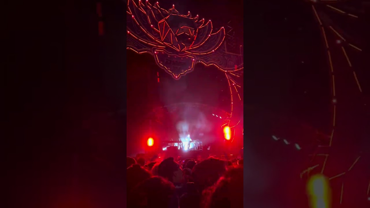 David Guetta Live At Dwp Xv