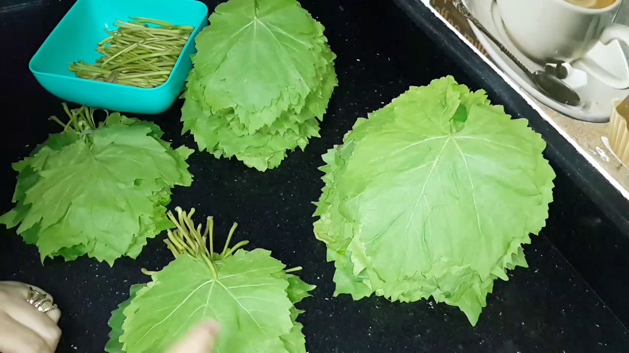حفظ وتخزين ورق العنب بطريقه سليمه وصحيه/بسرعة الصاروخ