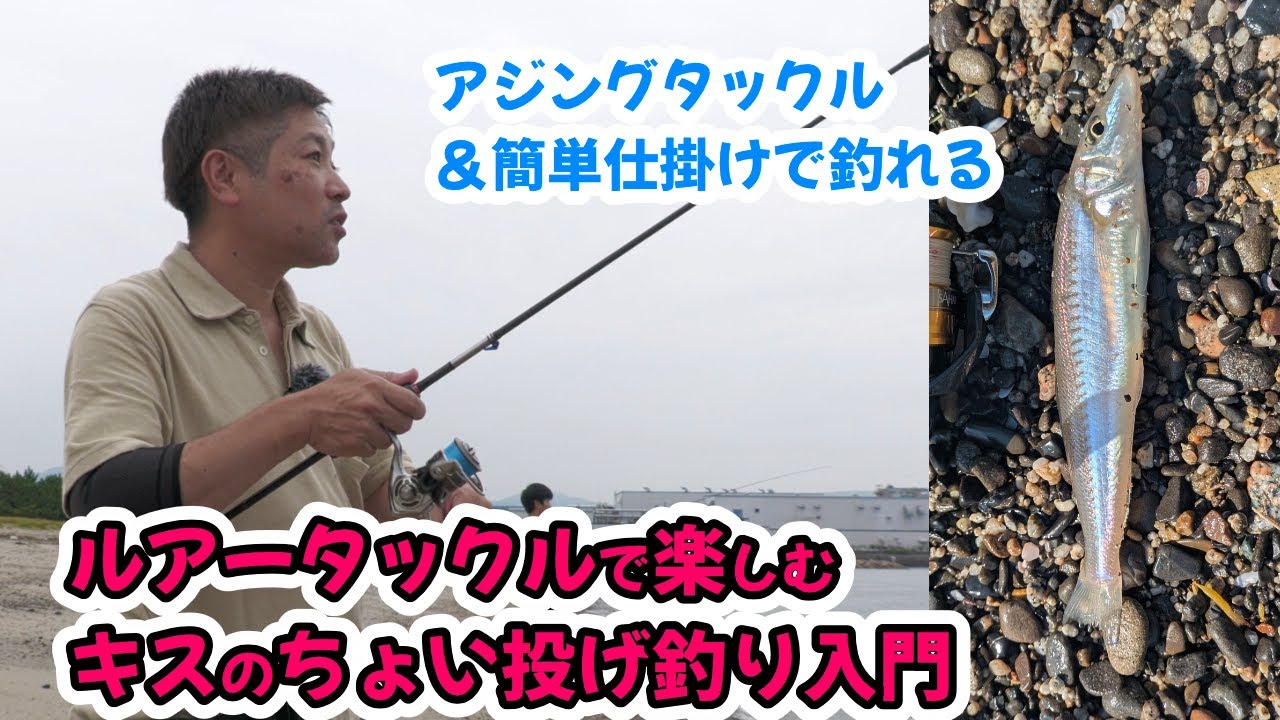 ライトルアータックルでキスが簡単に釣れる ちょい投げキス入門 #ちょい投げ #キス釣り