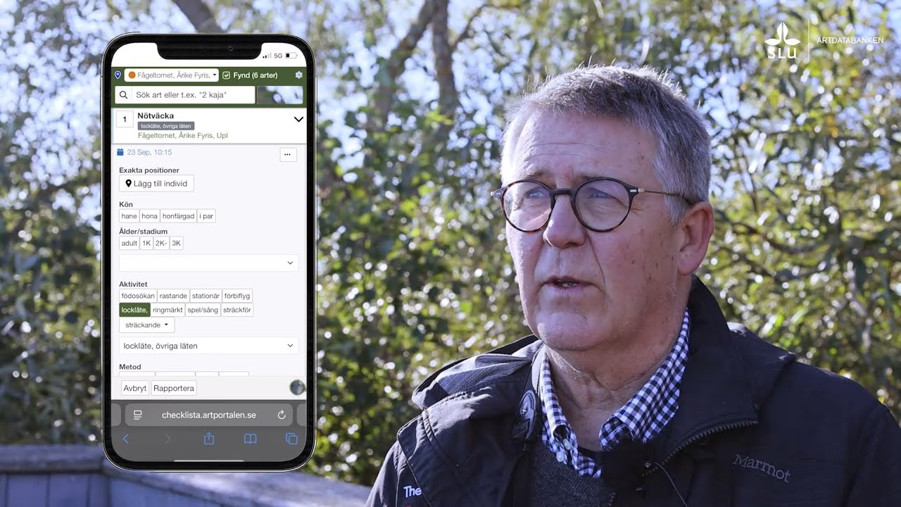 Rapportera med checklistan – från observation till färdig rapport i Artportalen