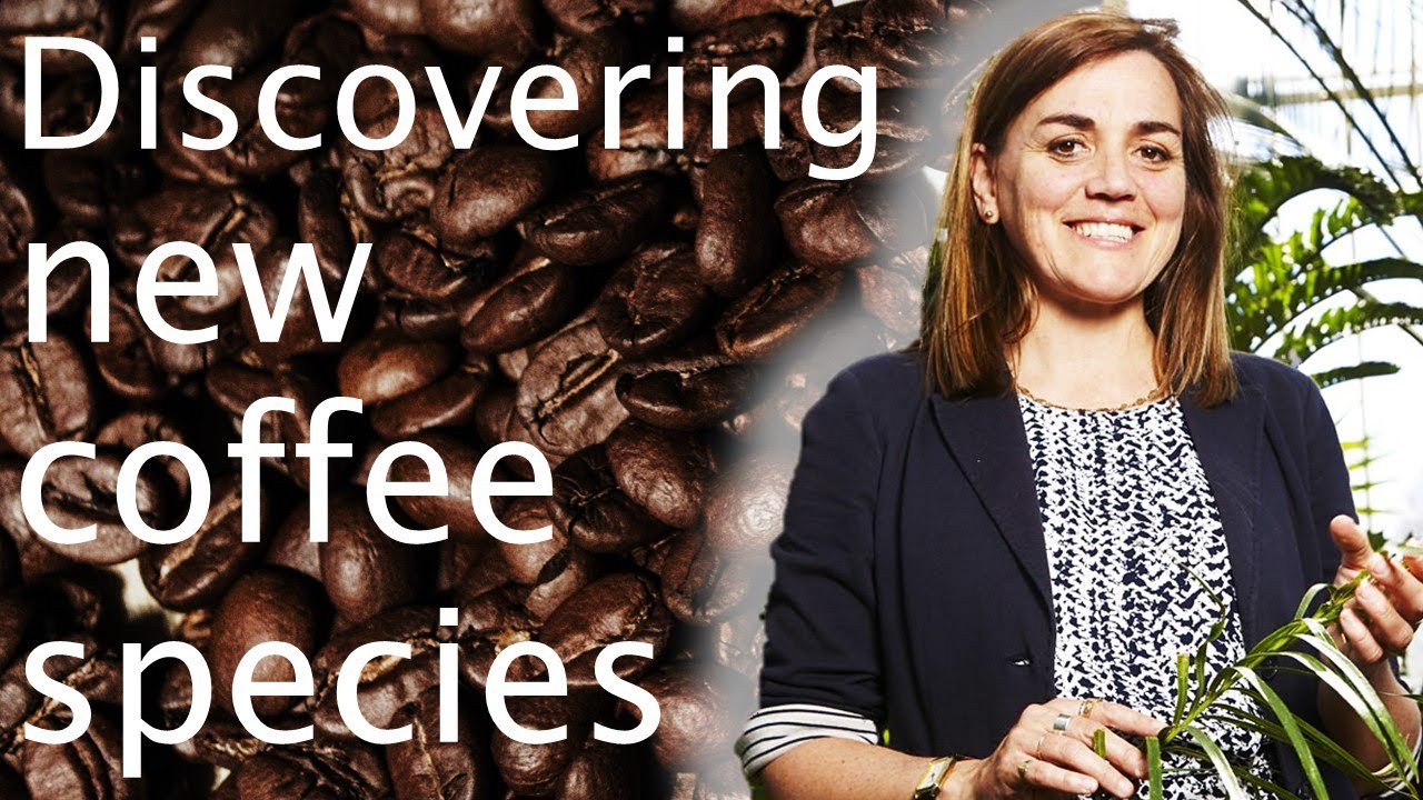 Using wild species to improve crop diversity - Prof Kathy Willis