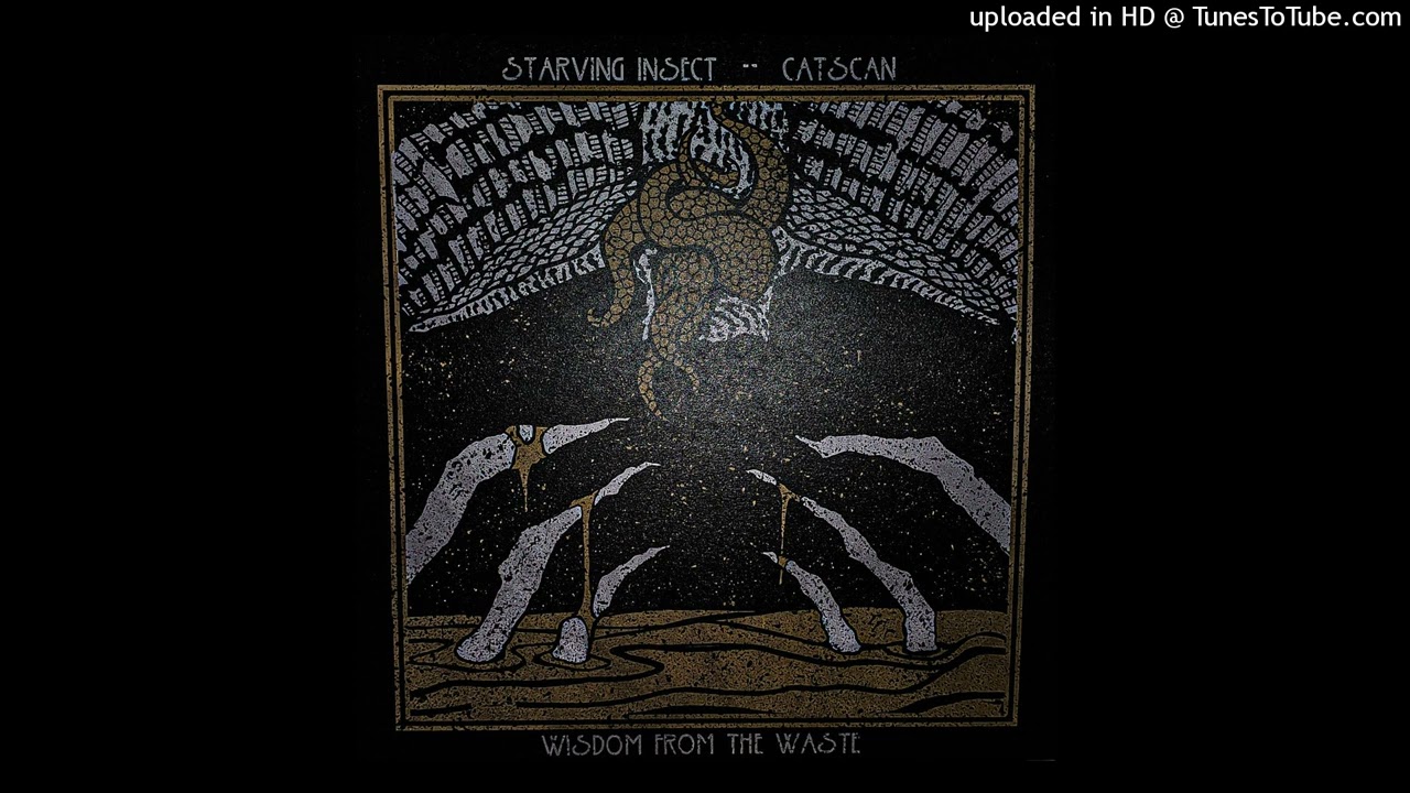 STARVING INSECT AND CATSCAN - RAINMAKER