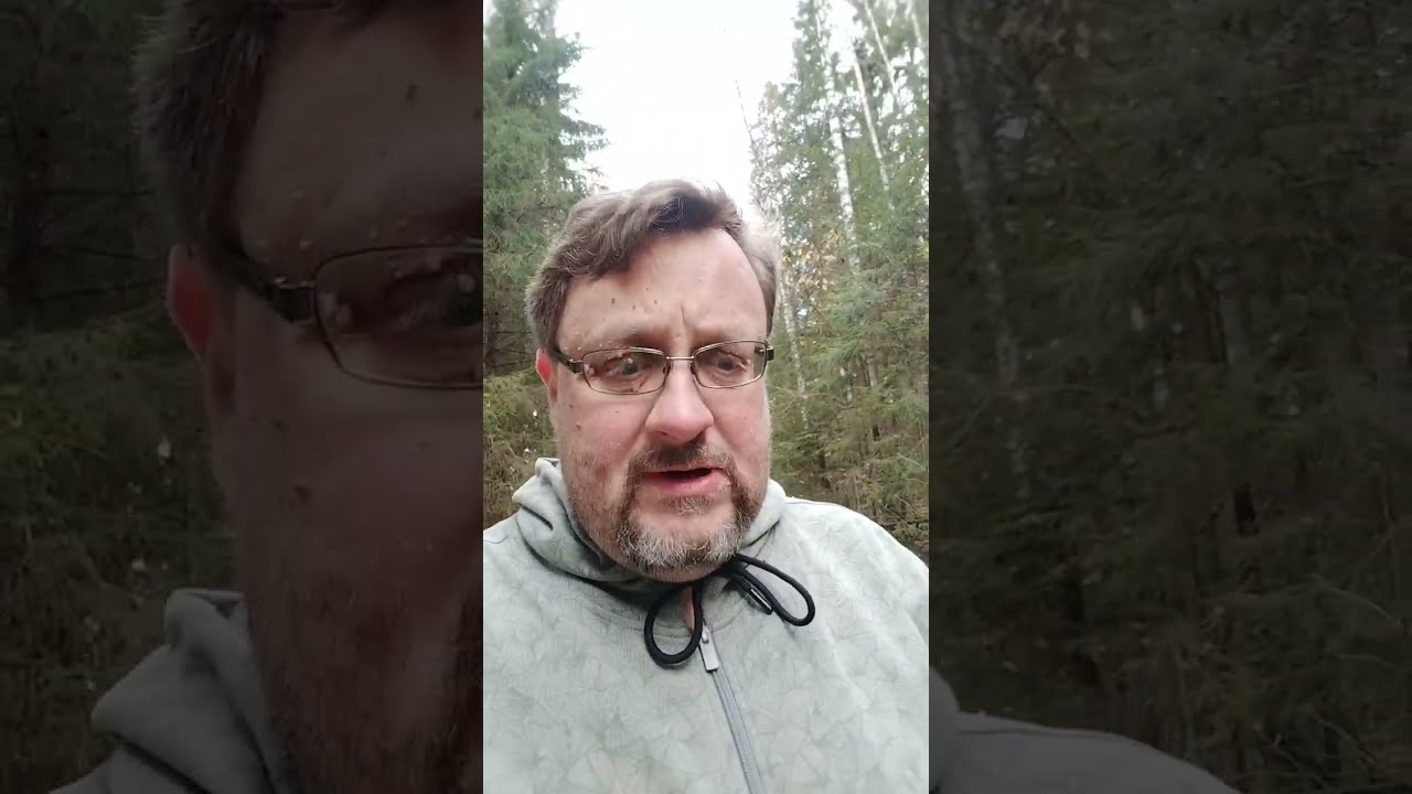 Majavapolku Isojärven kansallispuistossa.