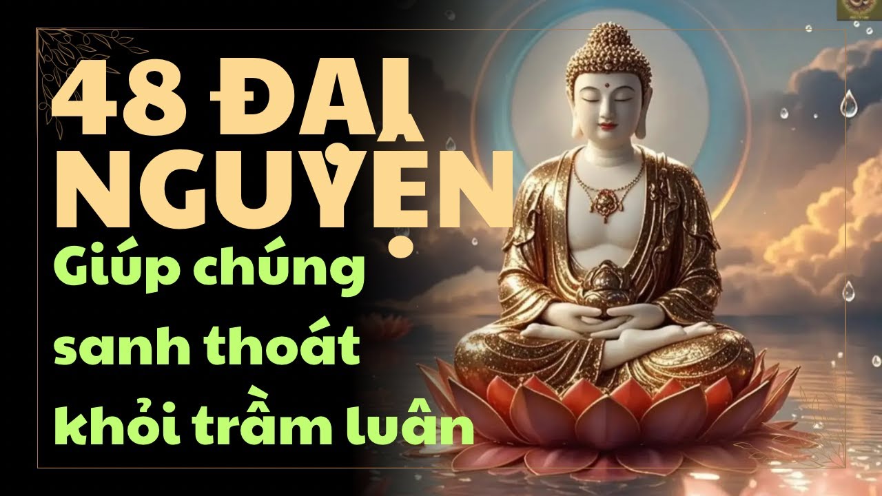 48 đại nguyện đức phật a di đà giúp chúng sanh thoát khỏi trầm luân#niemphat #loiphatday #chánhniệm