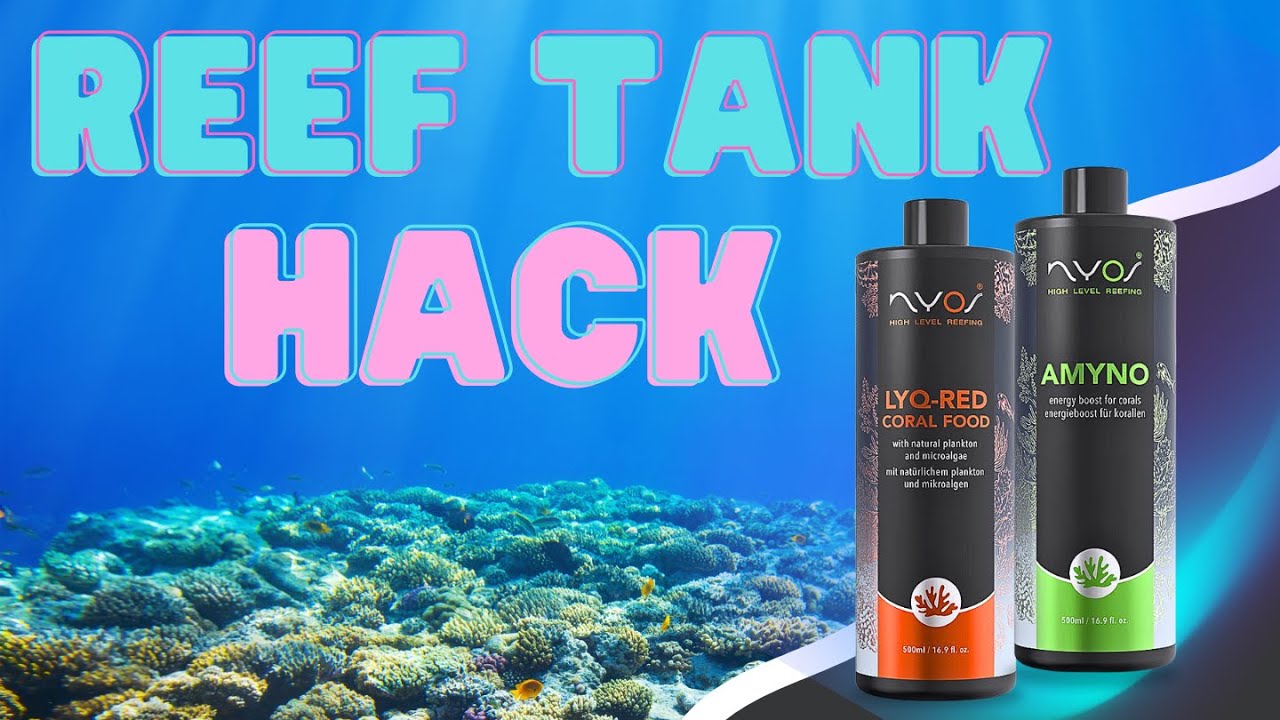 Supplementing Your Saltwater Aquarium | Hack Your Reef Tank with Nyos LYQ RED & AMYNO