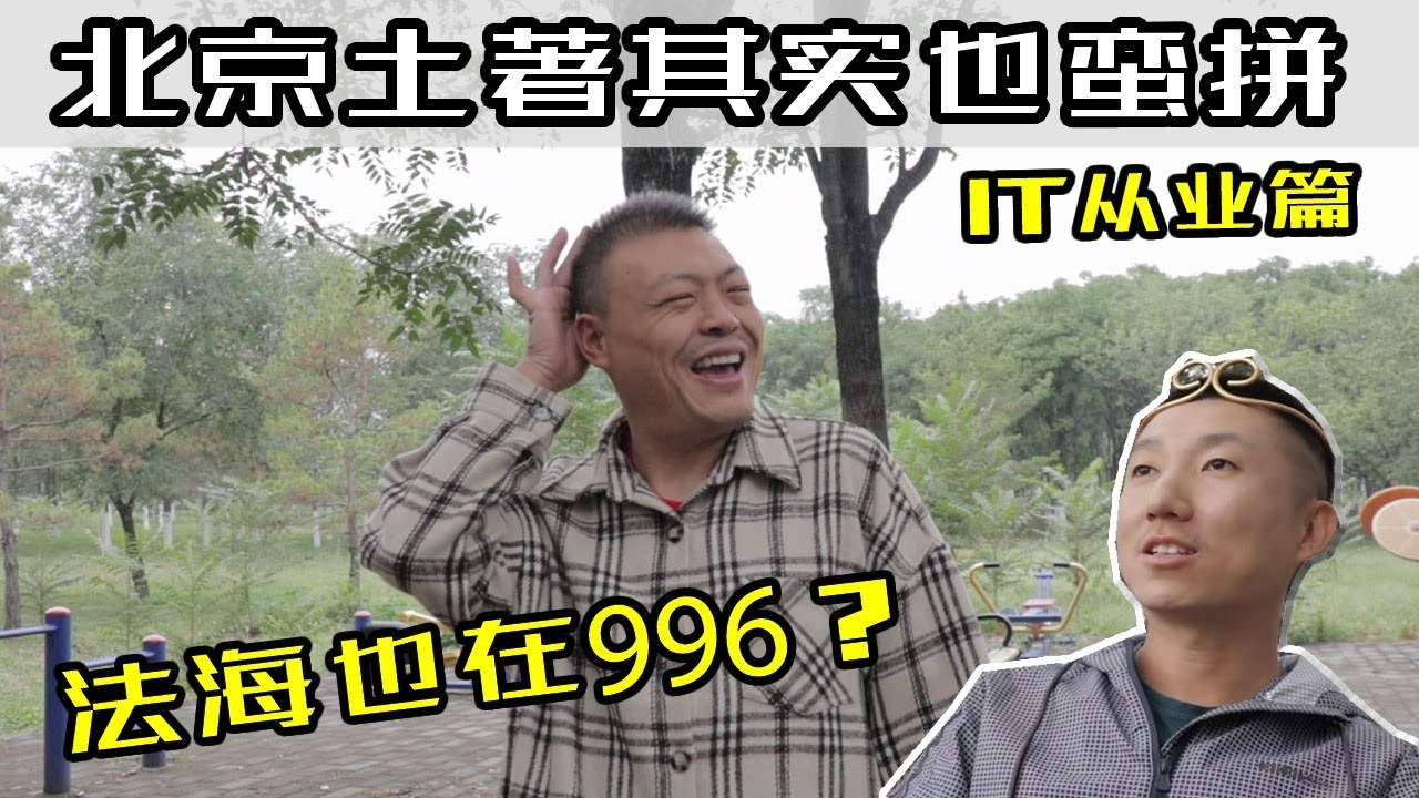 两个北京人的对话:法海在职场上的忙碌与迷茫;分享我的一段奇葩IT从业经历(开CC字幕)【北同】