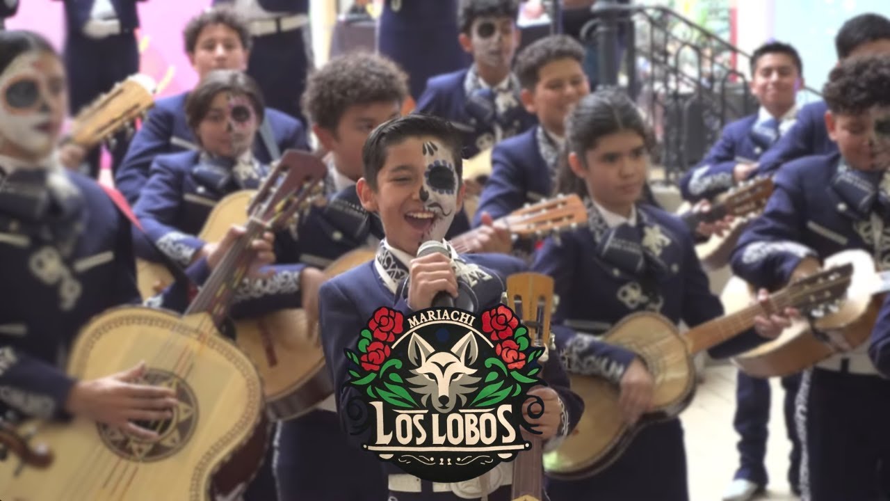 Mariachi Los Lobos - Performance at Panorama Mall