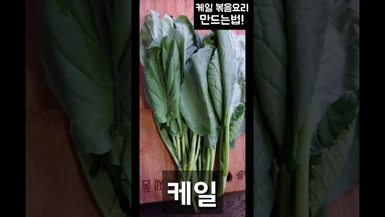 케일 볶음 요리