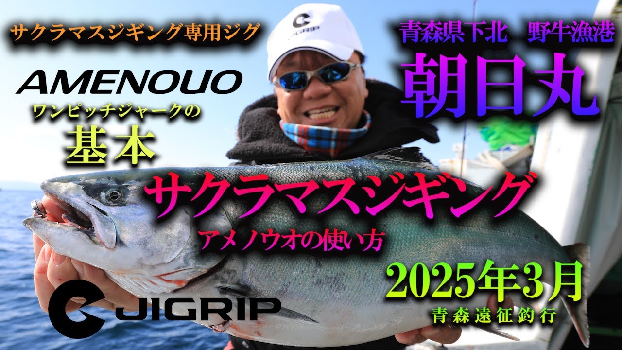 ★2025青森遠征サクラマスジギング 野牛漁港 朝日丸 ワンピッチジャークの基本とAMENOUOの使い方。検索ワード ジグリップ アメノウオ  jigging ジギング 小野誠