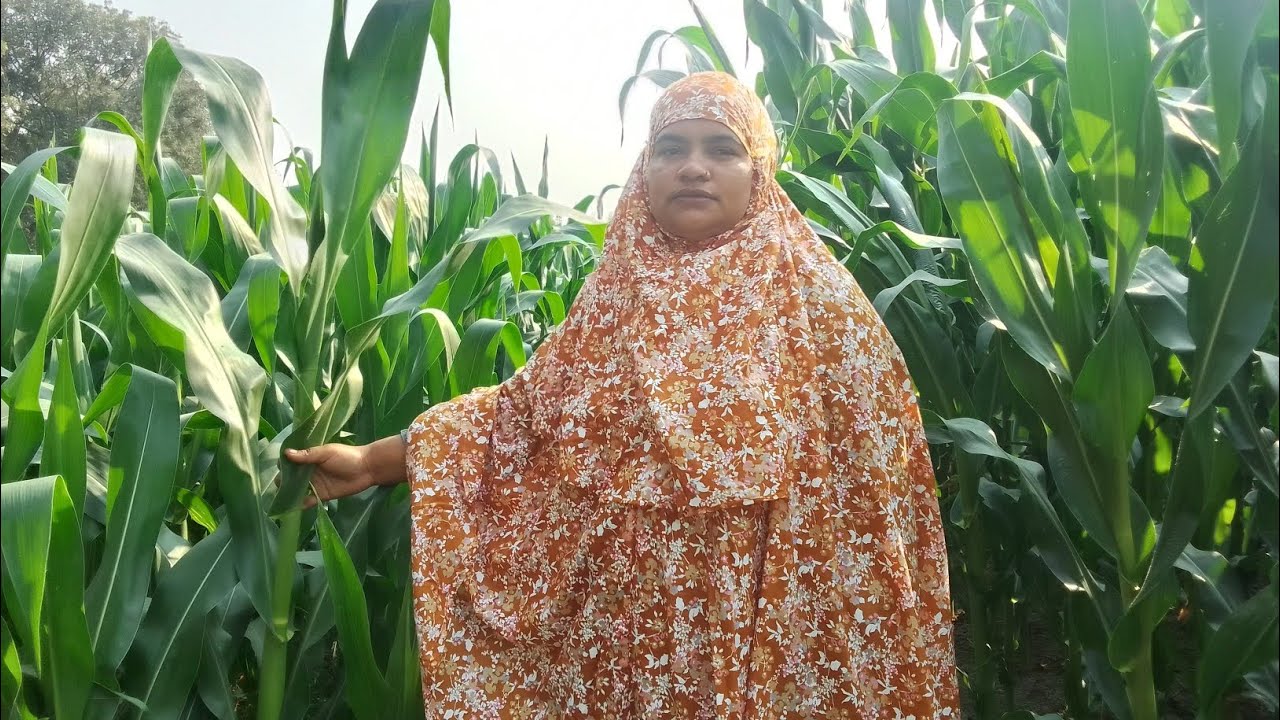 সবাই কে রমজানের স্বেচ্ছা 