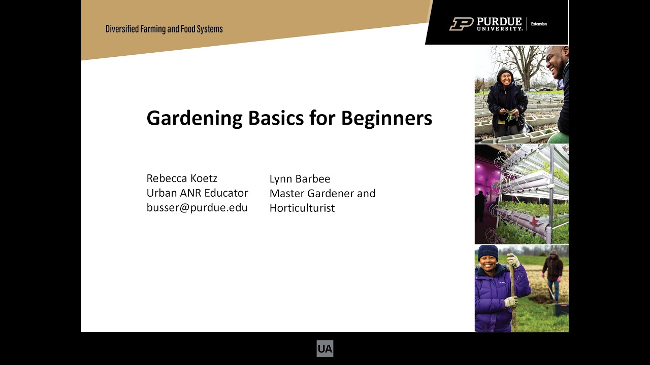 IUN Community Garden: Gardening Basics for Beginners - 2026