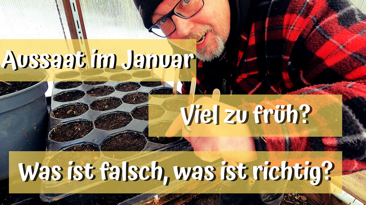 Aussaat im Januar / Viel zu früh? / Pflanzenlicht, Heizmatte / Was ist falsch, was ist richtig?