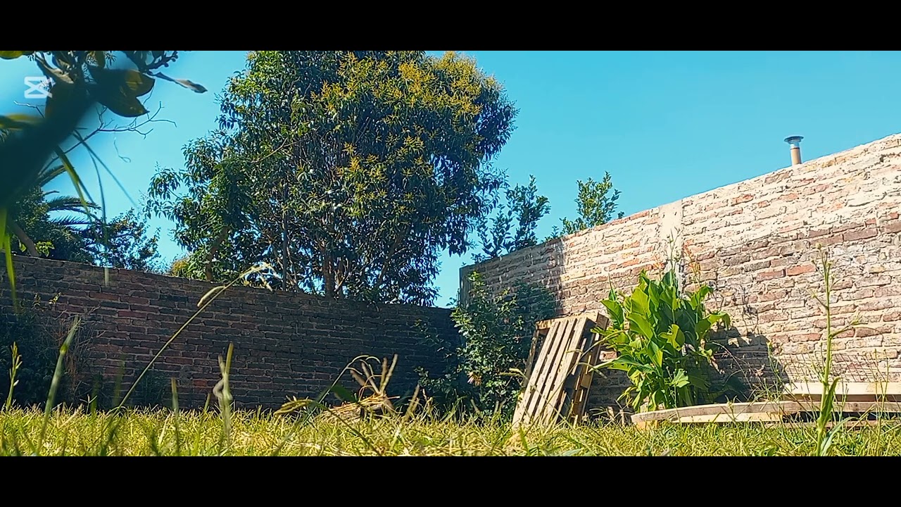Video relajante. Día de verano tranquilo