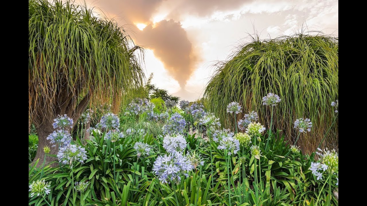 Mario Faro, CEO, Piante Faro & Sergio Cumitini, Radicepura Garden Festival - 11 September 2024