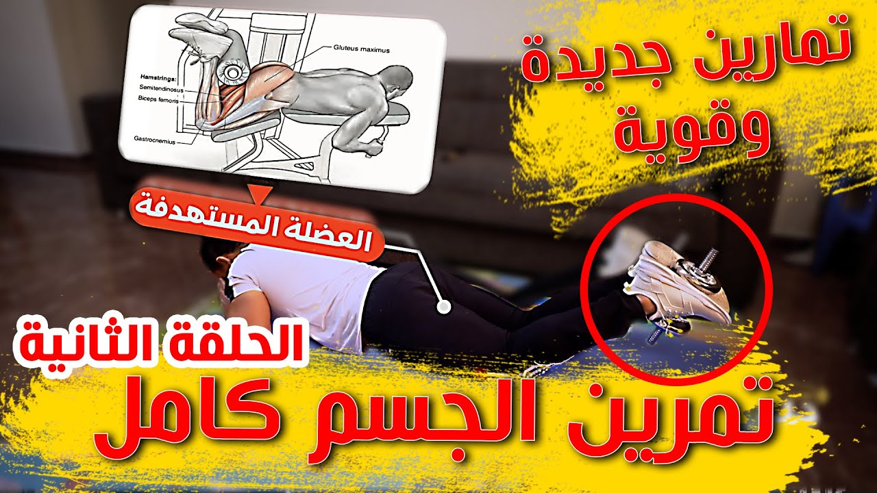 التمارين الرياضية في البيت للجسم كامل الحلقة الثانية خليك بالبيت التمارين الرياضية في البيت بالدمبلز
