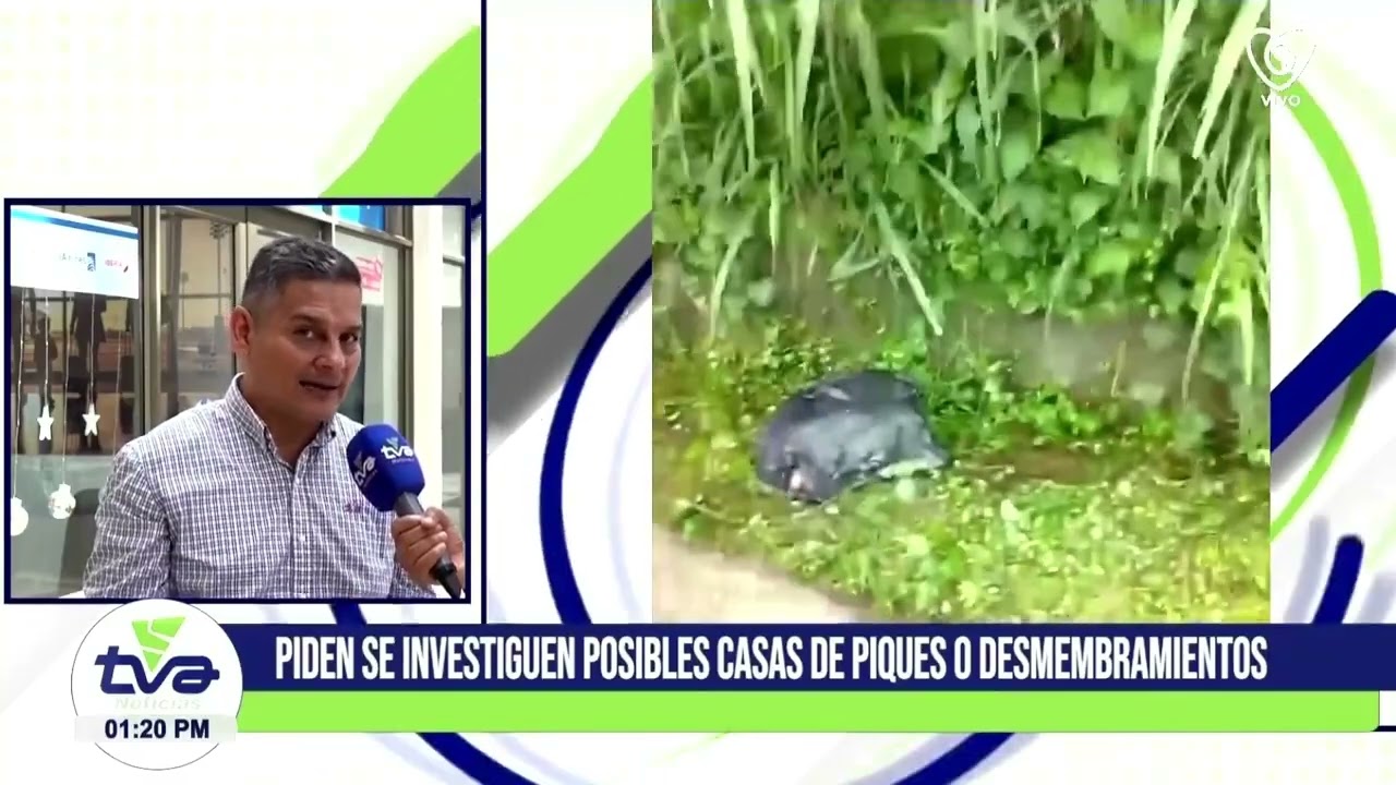 Hallan a dos jóvenes descuartizados en Pereira