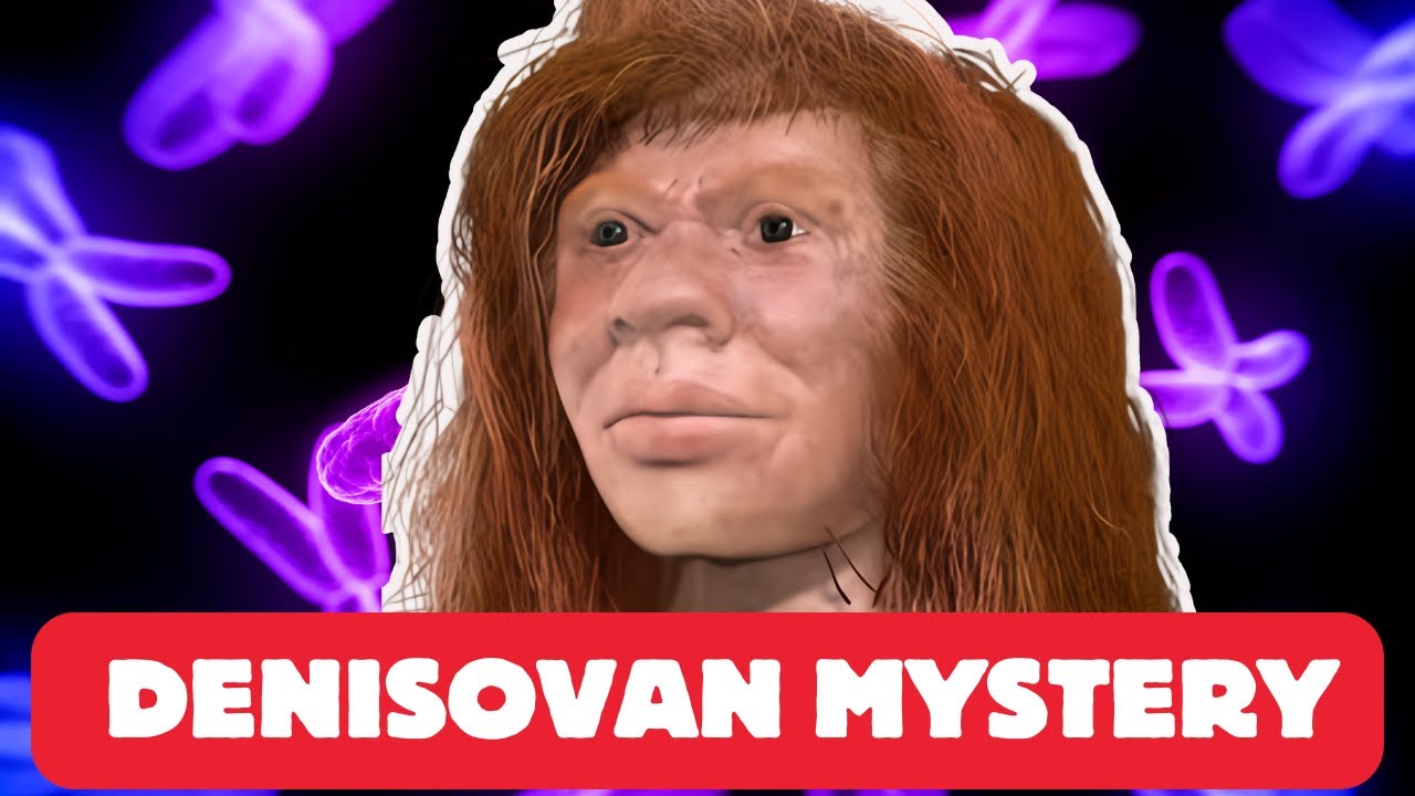 Scientists Finally Solve The Denisovan DNA Mystery