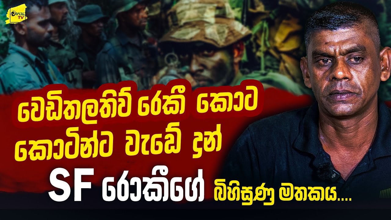 වෙඩිතලතිව් රෙකී කොට කොටින්ට වැඩේ දුන් SF රොකීගේ බිහිසුණු මතකය @wanesatv