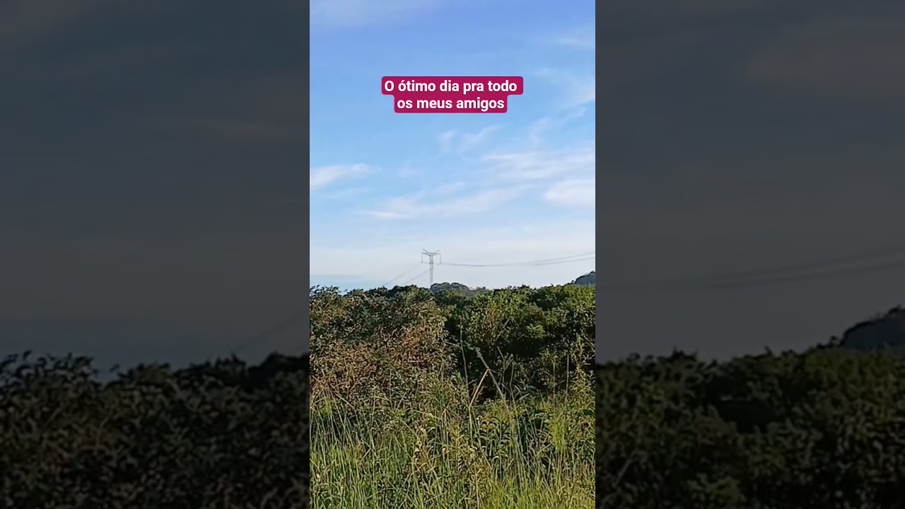 Bom dia pra todos ótima segunda-feira abençoada e muita saúde pra vocês🍃🥰