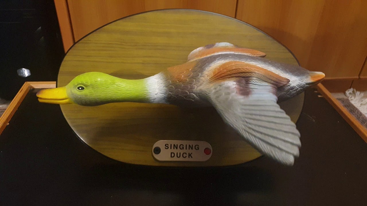 (Extremely rare) Flying Singing Duck