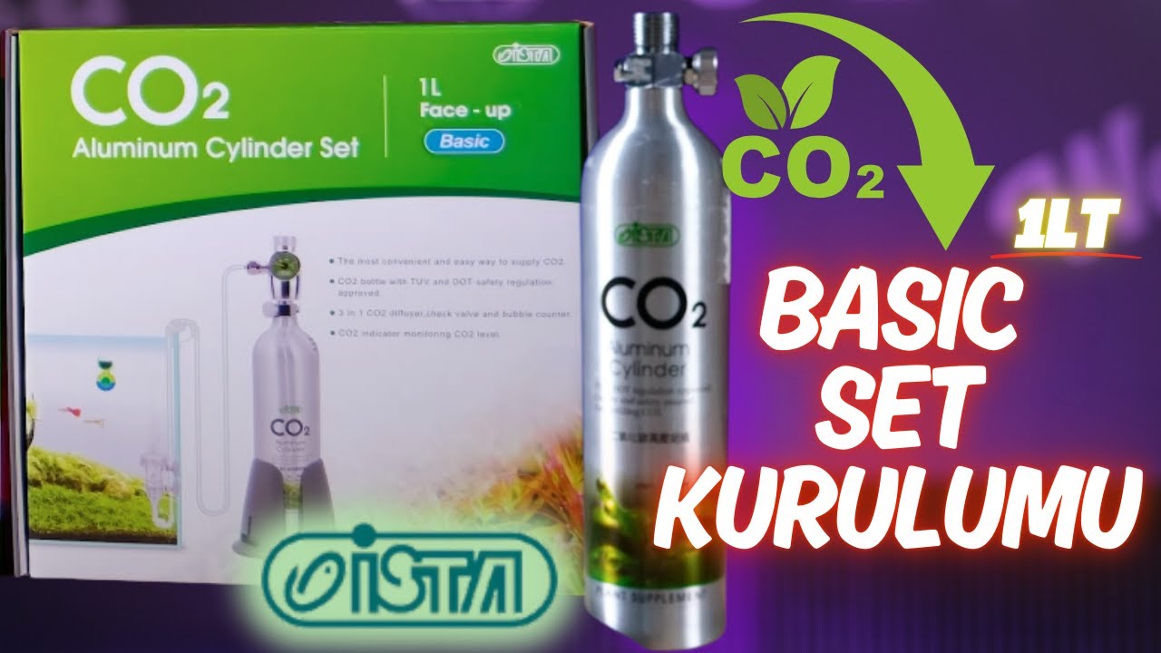İSTA 1Lt Basic  CO₂ Karbondioksit Set Kurulumu | Betta Marketim