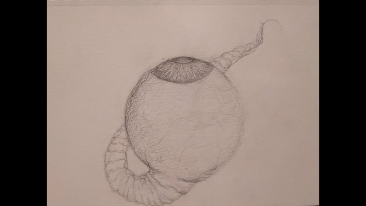 3 Truly Terrifying Country Stories (Vol. 7)