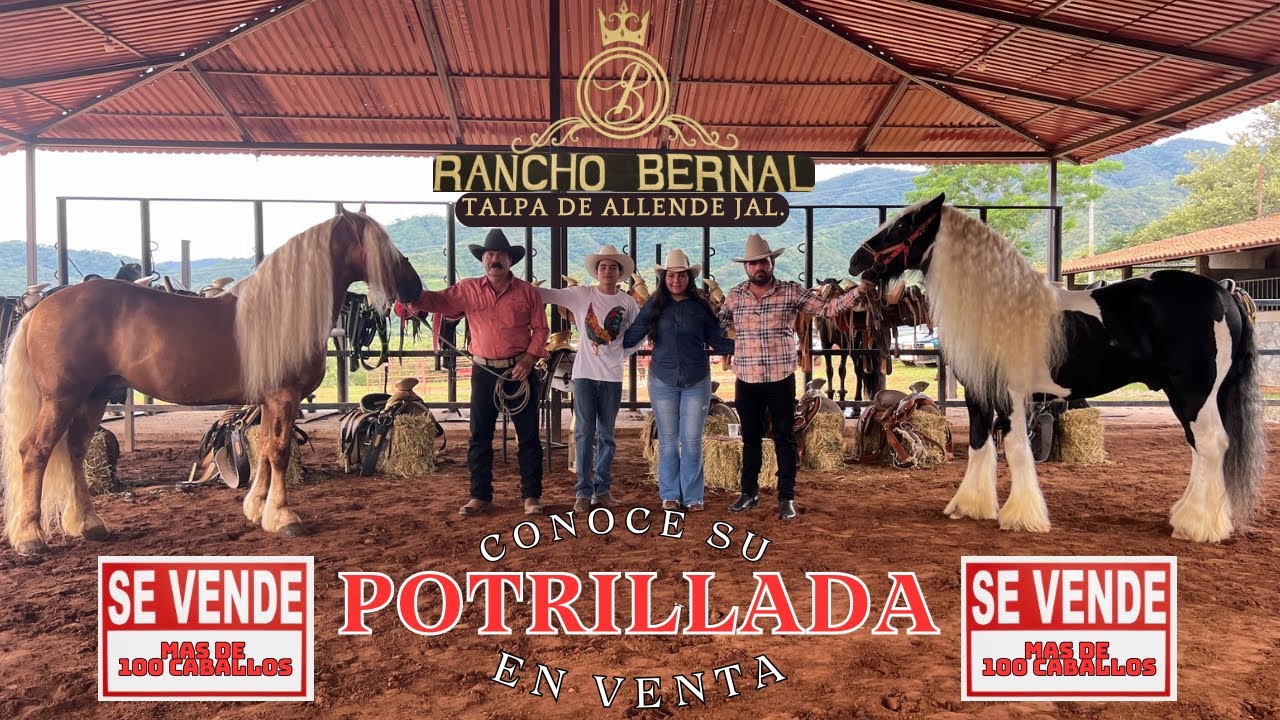 CONOCE A RANCHO BERNAL DE TALPA DE ALLENDE Y SUS MAS DE 100 CABALLOS EXÓTICOS EN VENTA