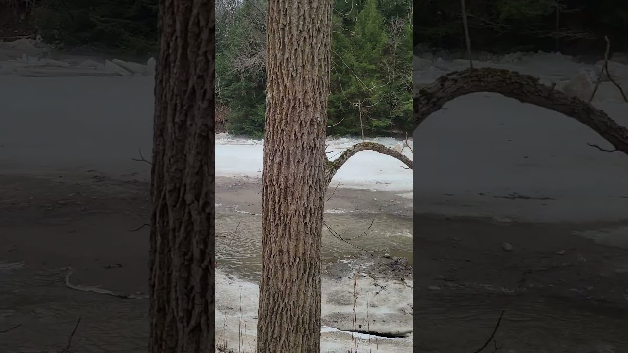 Mile Long Ice Jam Little Beaver Creek in Ohio Winter 2026 pt3