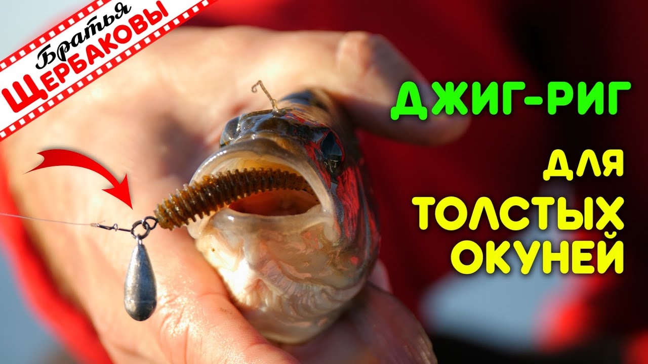 ДЖИГ-РИГ и толстые ОКУНИ, лодка, бабье лето. ВКУСНЕЙШЕЕ ФИЛЕ рыбы с печёной картошкой